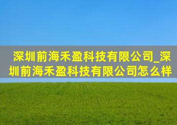深圳前海禾盈科技有限公司_深圳前海禾盈科技有限公司怎么样